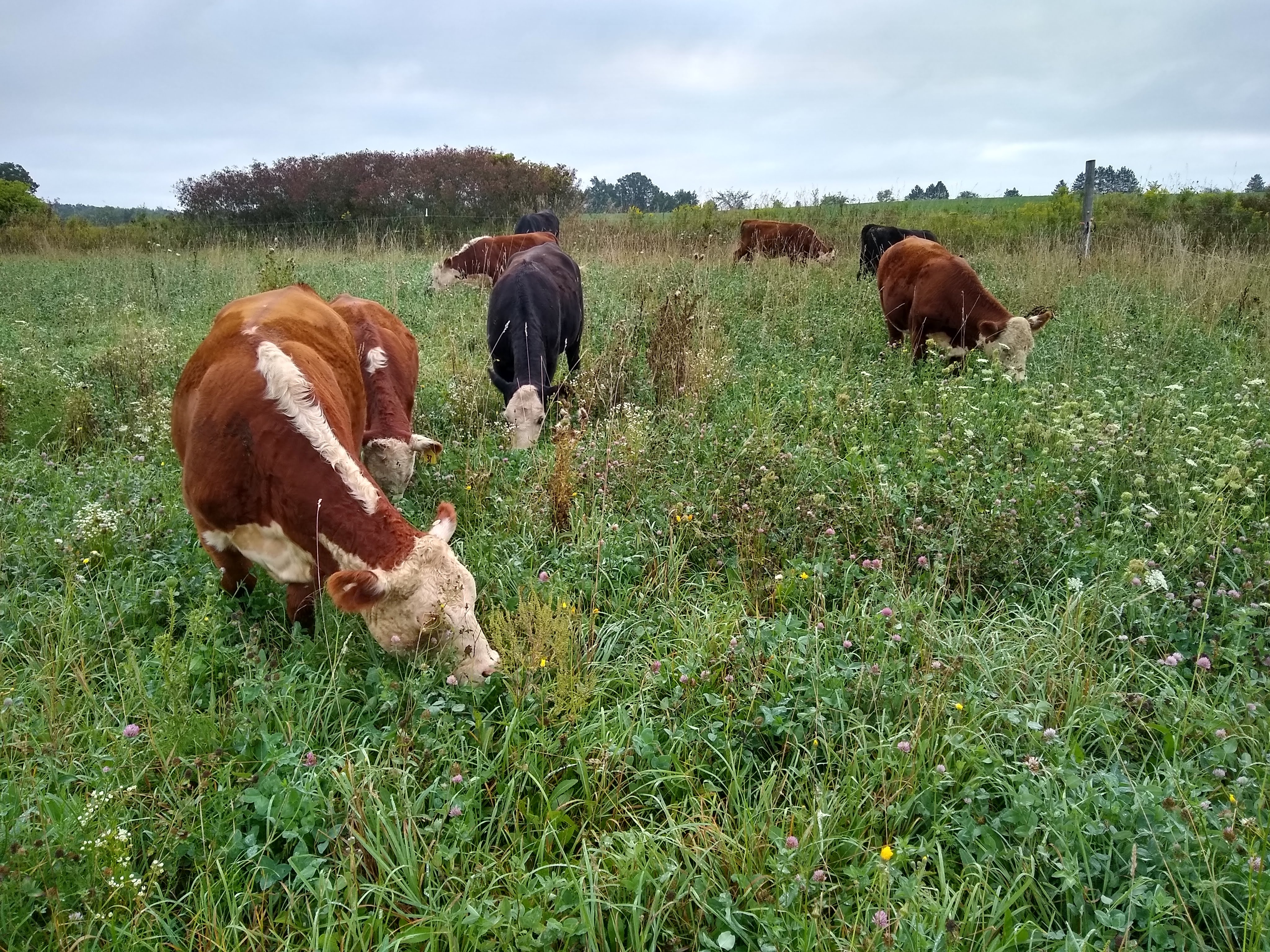 IMG_20190907_074738707_HDR